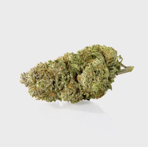 Flower Power - Blüten - HAZE ISLAND 🏝️ THC-P 5%