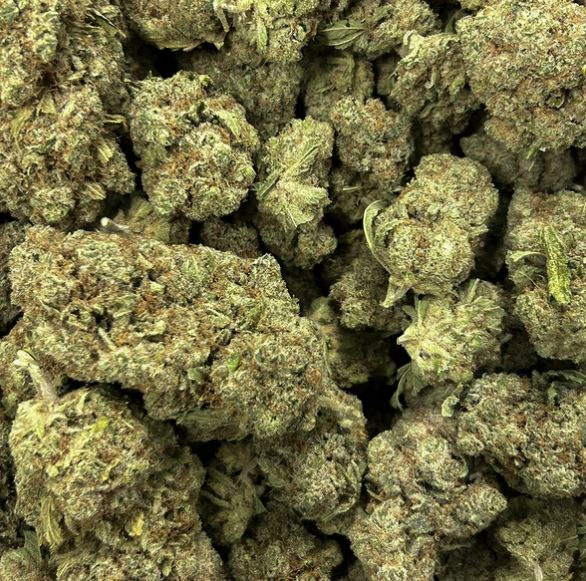 Flower Power - Blüten - HAZE ISLAND 🏝️ THC-P 5%