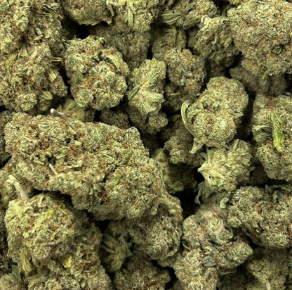Flower Power - Blüten - HAZE ISLAND 🏝️ THC-P 5%