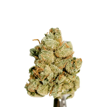 Cannaday - Blüten - CBD - Super Lemon Haze 16% – White Edition