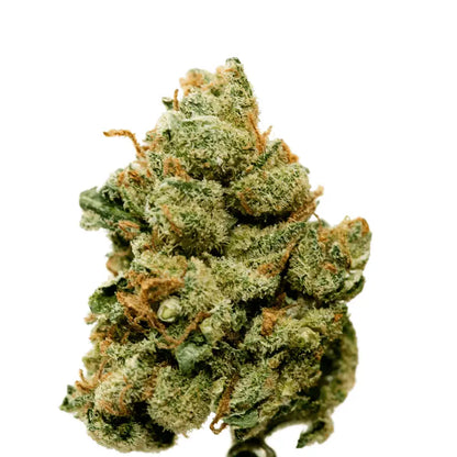 Cannaday - Blüten - CBD - Super Lemon Haze 16% – White Edition