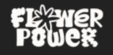 Flower Power - Blüten - HAZE ISLAND 🏝️ THC-P 5%