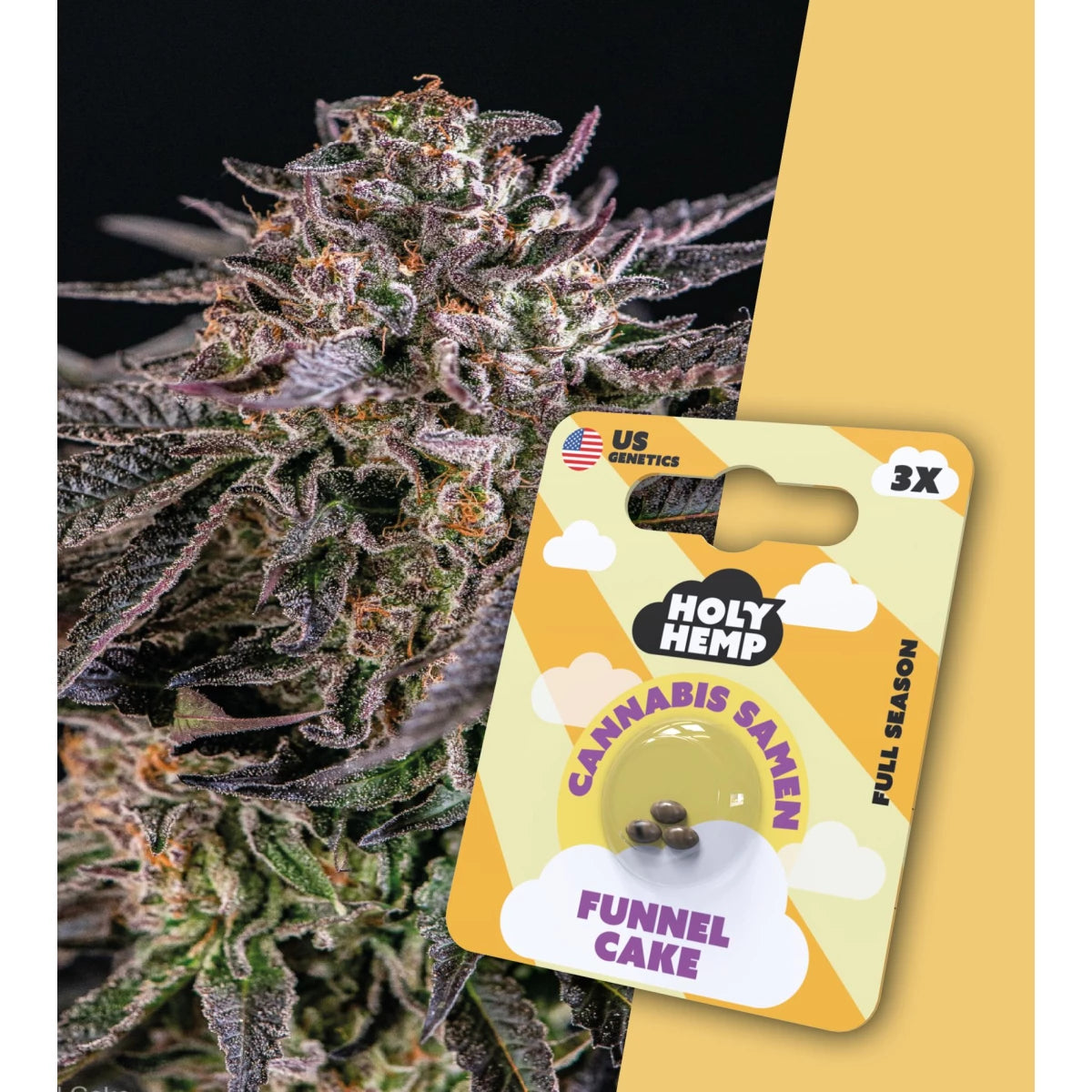 Samen - HolyHemp Funnel Cake (Full Season)